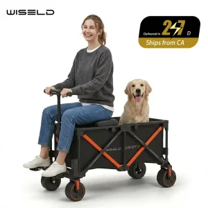 WISELD GT3 Electric Wagon Ridable